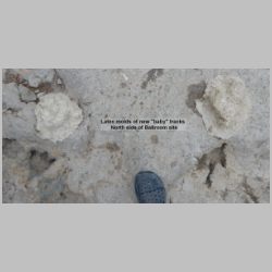 DSCN2087-cr-Baby tracks latex molds.jpg